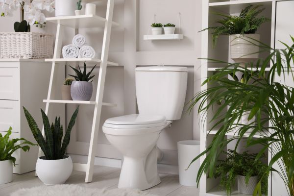 Cost of Toilet Repair in Sun City