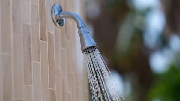 Cost of Showerhead Repair in Sun City